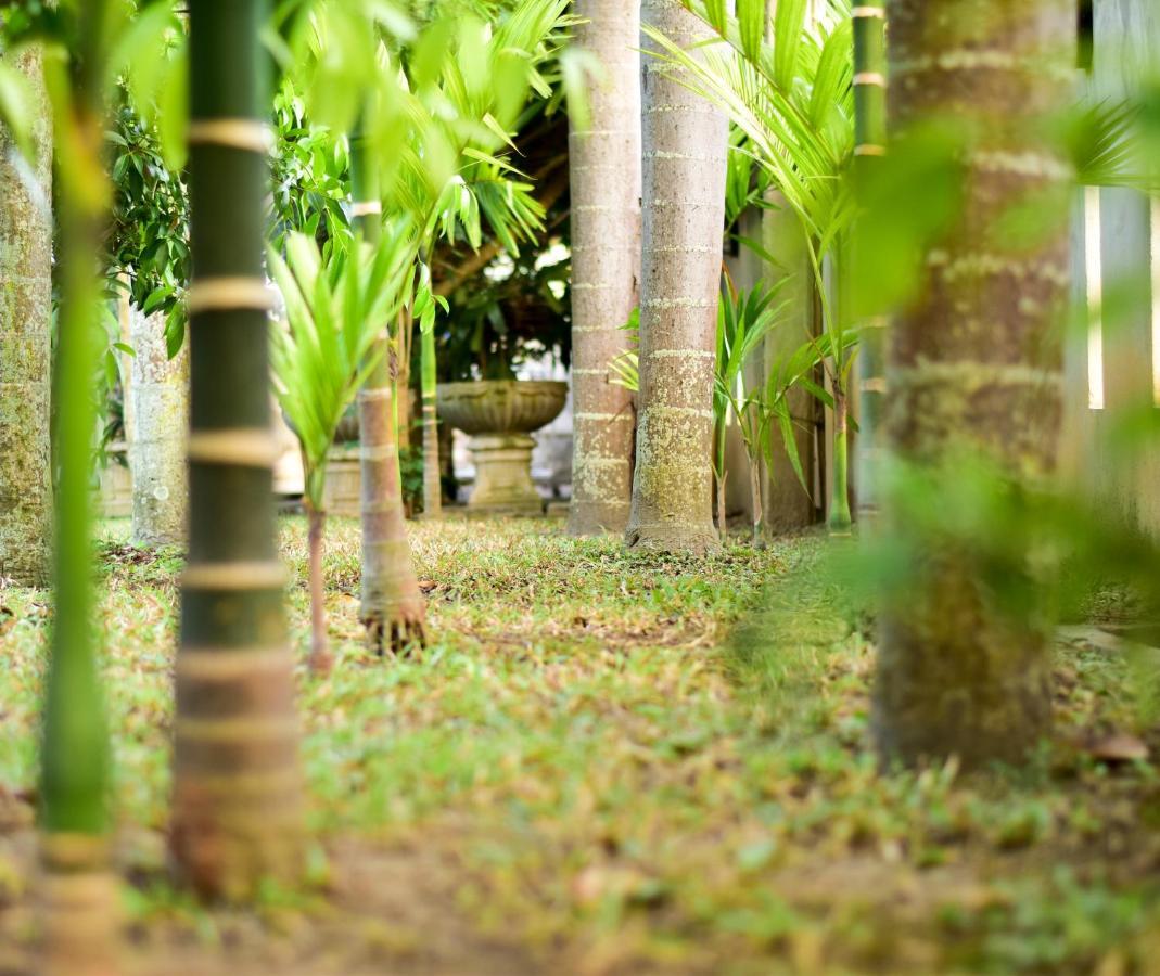 Hotel Chiang Mai Heritage House Exteriér fotografie